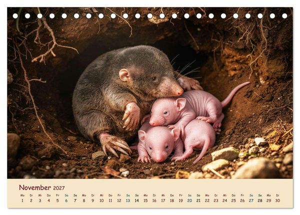 Produktbild: Im Reich der Tunnelbauer - Maulw&uuml;rfe und Nacktmulle, Leben im Verborgenen (Tischkalender 2027 DIN A5 quer), CALVENDO Monatskalender