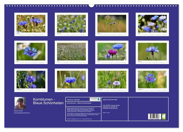 Produktbild: Kornblumen - Blaue Sch&ouml;nheiten (Wandkalender 2026 DIN A2 quer), CALVENDO Monatskalender