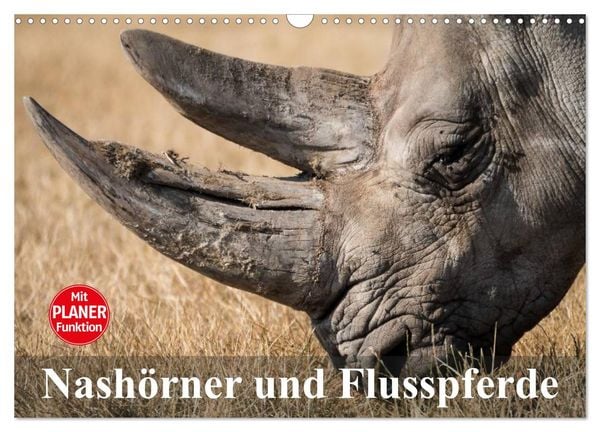 Produktbild: Nash&ouml;rner und Flusspferde (Wandkalender 2026 DIN A3 quer), CALVENDO Monatskalender