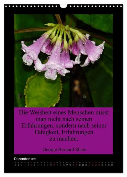 Produktbild: Lebensweisheiten mit Blumigen Gr&uuml;&szlig;en (Wandkalender 2026 DIN A3 hoch), CALVENDO Monatskalender