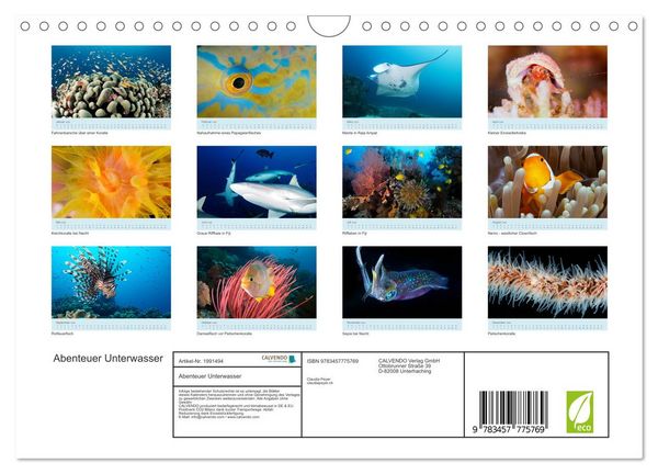 Produktbild: Abenteuer Unterwasser (Wandkalender 2026 DIN A4 quer), CALVENDO Monatskalender