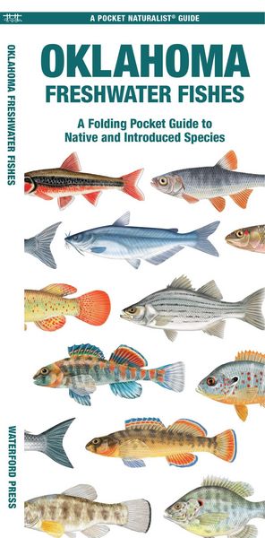 Produktbild: Oklahoma Freshwater Fishes