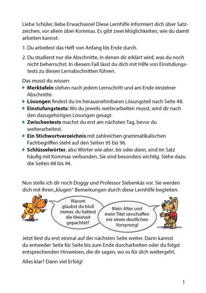Produktbild: Zeichensetzung ab 6. Klasse und f&uuml;r Erwachsene