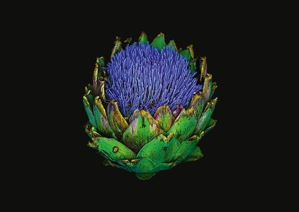 Produktbild: The Blooming Book