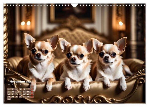 Produktbild: Chihuahua - der mutige Winzling (Wandkalender 2026 DIN A3 quer), CALVENDO Monatskalender