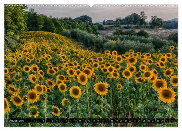 Produktbild: Abends in der Toskana (Wandkalender 2026 DIN A2 quer), CALVENDO Monatskalender