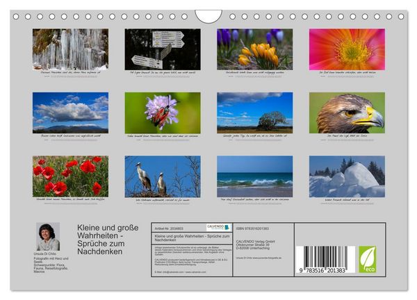 Produktbild: Kleine und gro&szlig;e Wahrheiten - Spr&uuml;che zum Nachdenken (Wandkalender 2026 DIN A4 quer), CALVENDO Monatskalender