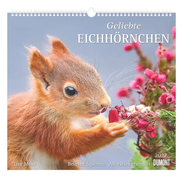 Produktbild: Geliebte Eichh&ouml;rnchen 2027