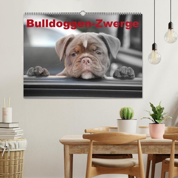 Produktbild: Bulldoggen-Zwerge (Wandkalender 2026 DIN A2 quer), CALVENDO Monatskalender