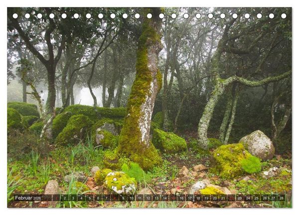 Produktbild: Sardinien Sardigna Sardegna Sardenya 2026 (Tischkalender 2026 DIN A5 quer), CALVENDO Monatskalender