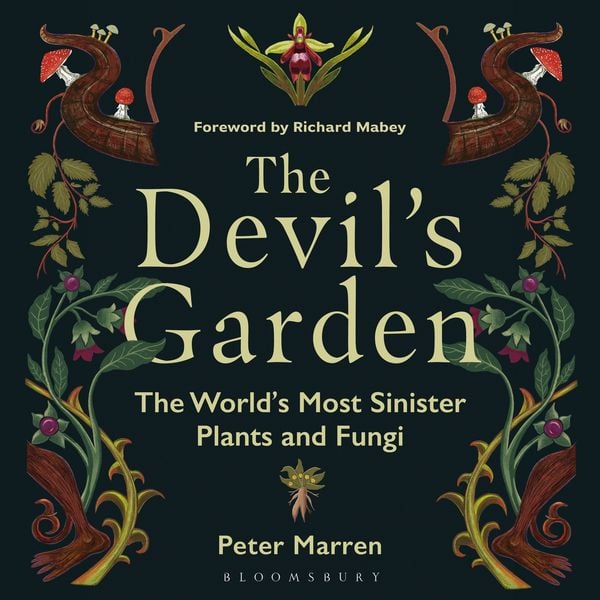 Produktbild: The Devil's Garden