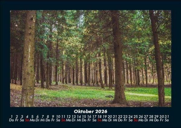 Produktbild: B&auml;ume 2026 Fotokalender DIN A5