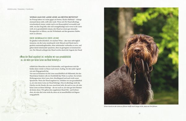 Produktbild: Leinen los! Freilauftraining f&uuml;r den Hund