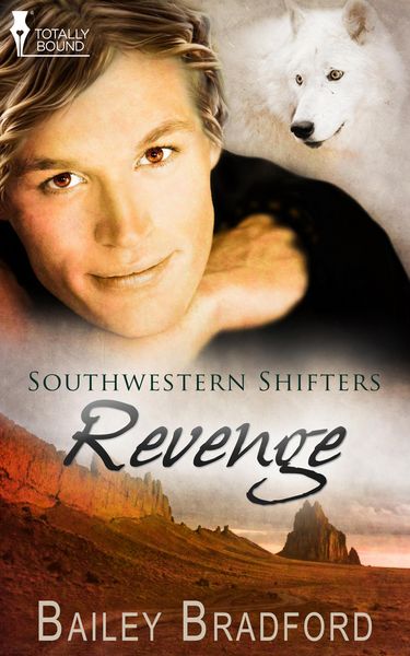 Produktbild: Revenge
