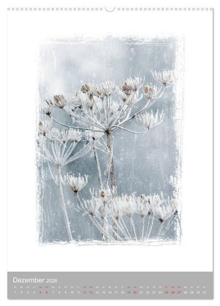 Produktbild: Kunstwerk Natur (hochwertiger Premium Wandkalender 2026 DIN A2 hoch), Kunstdruck in Hochglanz