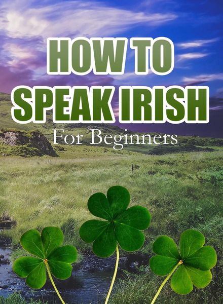 Produktbild: How To Speak Irish For Beginners