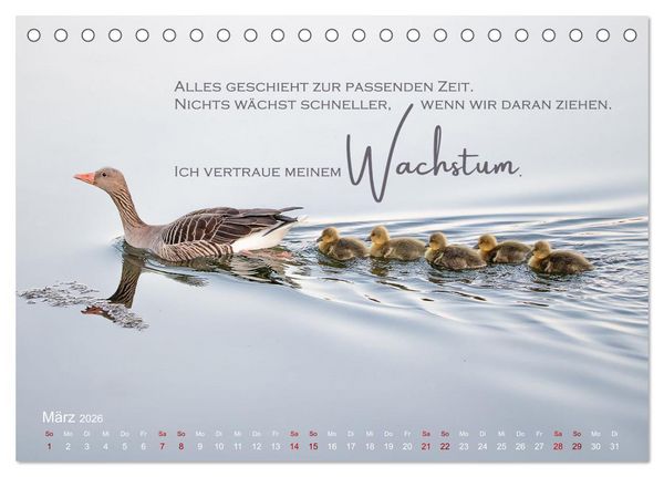 Produktbild: Vertraue! (Tischkalender 2026 DIN A5 quer), CALVENDO Monatskalender