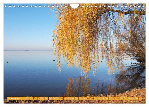 Produktbild: Traumhaftes Steinhuder Meer (Wandkalender 2026 DIN A4 quer), CALVENDO Monatskalender