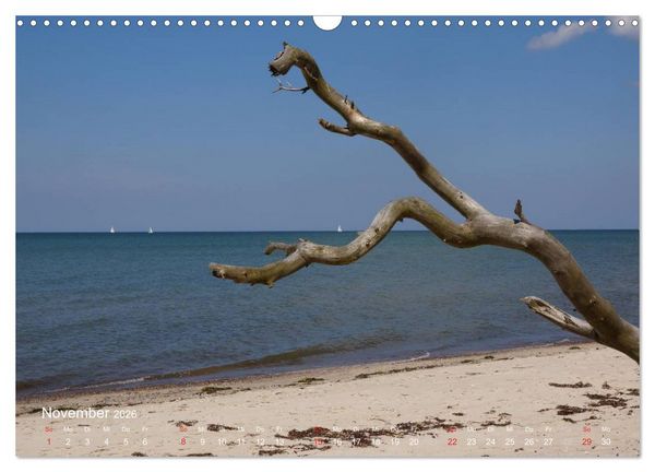 Produktbild: Anblicke und Ausblicke auf Fischland Dar&szlig; (Wandkalender 2026 DIN A3 quer), CALVENDO Monatskalender