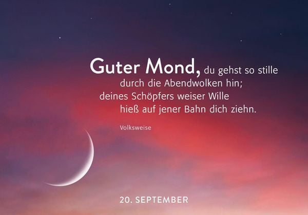 Produktbild: 365 Lichtmomente