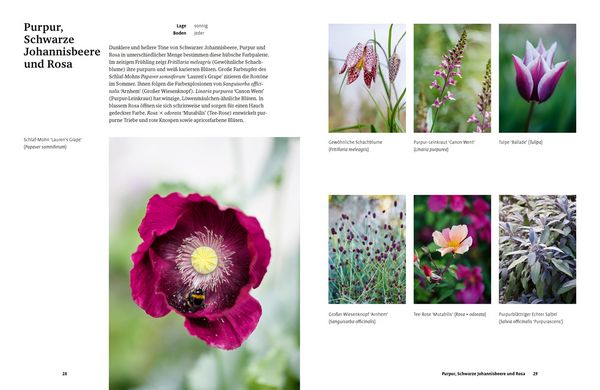 Produktbild: Gr&uuml;n in allen Farben