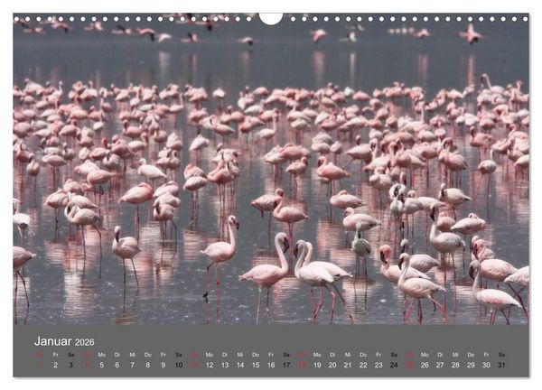 Produktbild: Ich tr&auml;umte von Afrika (Wandkalender 2026 DIN A3 quer), CALVENDO Monatskalender