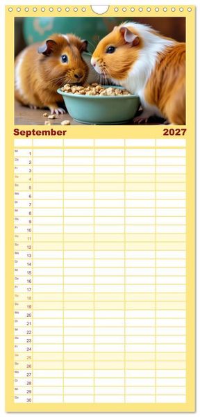Produktbild: Familienplaner 2027 - S&uuml;&szlig;e Meerschweinchen mit 5 Spalten (Wandkalender, 21 x 45 cm) CALVENDO