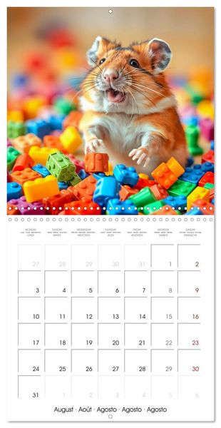 Produktbild: Small paws and great playfulness (Wall Calendar 2026 12 &times; 12 Inch) CALVENDO 12 Month Wall Calendar