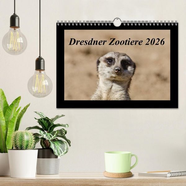 Produktbild: Dresdner Zootiere 2026 (Wandkalender 2026 DIN A4 quer), CALVENDO Monatskalender