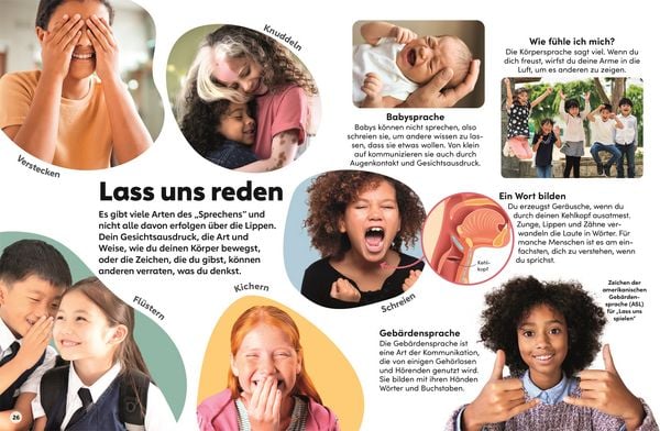 Produktbild: memo Wissen Kids. Der K&ouml;rper