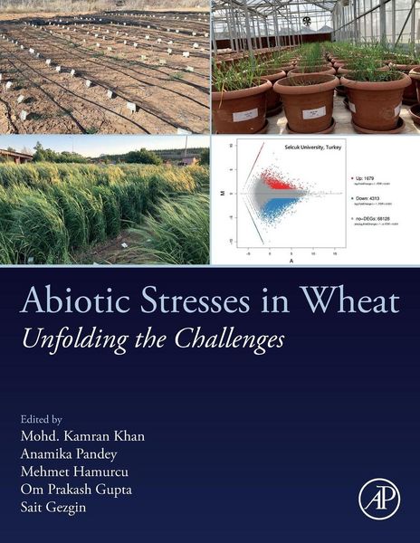 Produktbild: Abiotic Stresses in Wheat