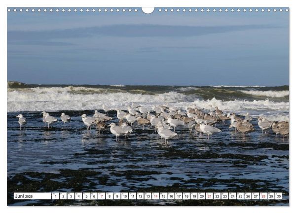 Produktbild: Callantsoog (Wandkalender 2026 DIN A3 quer), CALVENDO Monatskalender