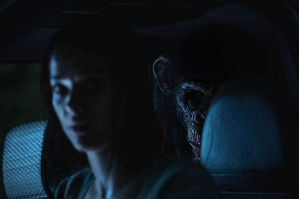 Produktbild: Primate