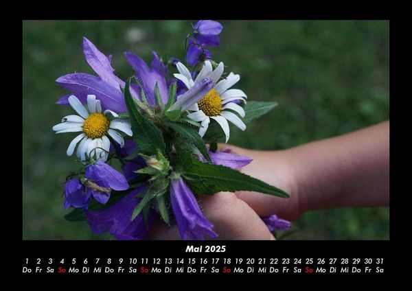Produktbild: Pflanzen und Bl&uuml;ten 2025 Fotokalender DIN A3