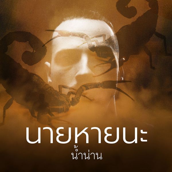 นายหายนะ - น้ําน่าน, Audio, 9789152162859