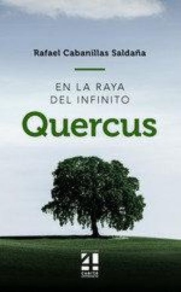 Produktbild: Quercus : en la raya del infinito