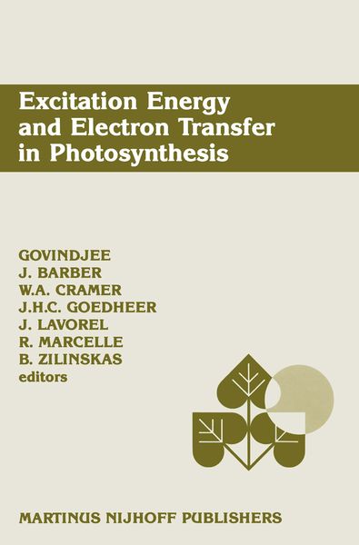 Produktbild: Excitation Energy and Electron Transfer in Photosynthesis