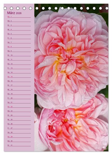 Produktbild: Rosen Symphonie (Tischkalender 2026 DIN A5 hoch), CALVENDO Monatskalender