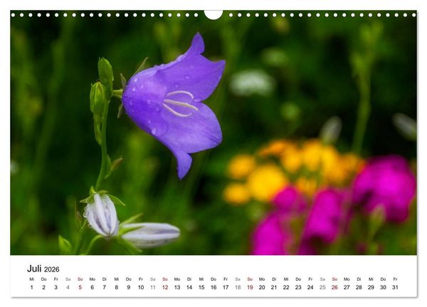Produktbild: Klosterinsel Reichenau - UNESCO-Welterbe am Bodensee (Wandkalender 2026 DIN A3 quer), CALVENDO Monatskalender