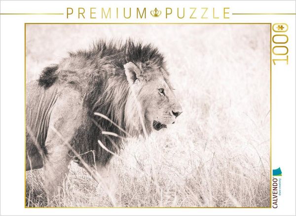 CALVENDO Puzzle Ein Motiv aus dem Kalender Löwen in der Maasai Mara von Kenia | 1000 Teile Lege-Größe 64 × 48 cm Foto-Puzzle für glückliche Stunden