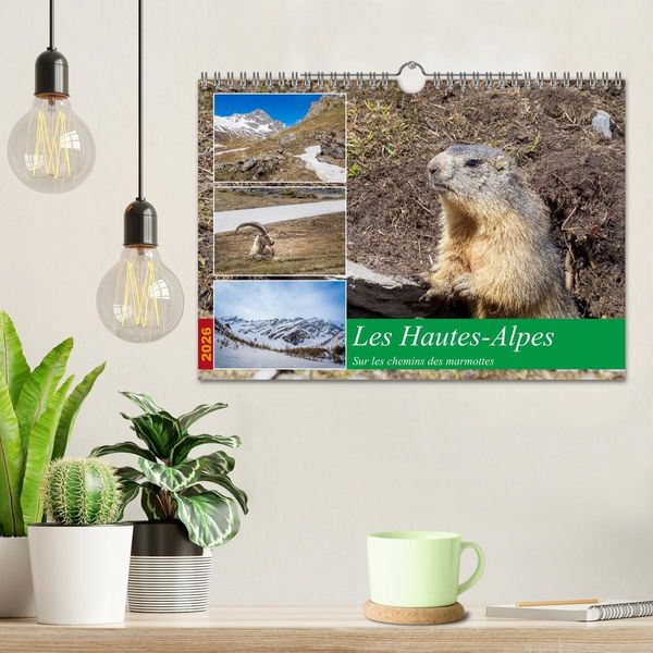 Produktbild: Les Hautes-Alpes sur les chemins des marmottes (Calendrier mural 2026 DIN A4 vertical), CALVENDO calendrier mensuel