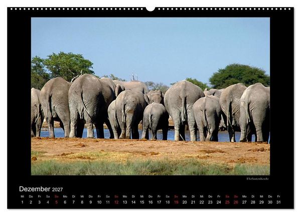 Produktbild: Wildtiere im Etosha Nationalpark (Wandkalender 2027 DIN A2 quer), CALVENDO Monatskalender