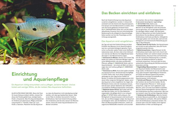 Praxishandbuch Aquarium