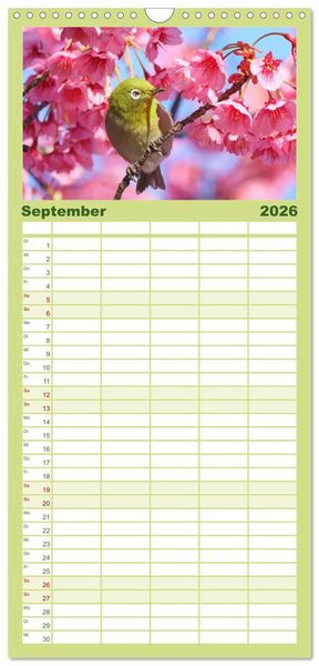 Produktbild: Familienplaner 2026 - Natur-Meditationen &ndash; Nimm Dir Zeit mit 5 Spalten (Wandkalender, 21 x 45 cm) CALVENDO