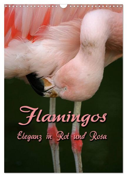 Flamingos - Eleganz in Rot und Rosa (Wandkalender 2026 DIN A3 hoch), CALVENDO Monatskalender