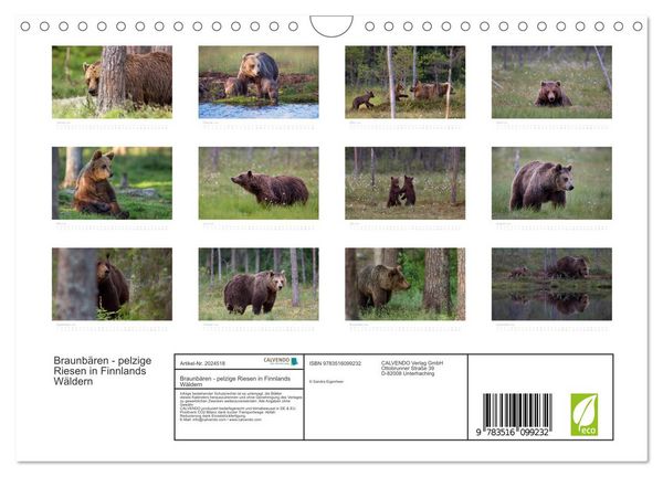 Produktbild: Braunb&auml;ren - pelzige Riesen in Finnlands W&auml;ldern (Wandkalender 2026 DIN A4 quer), CALVENDO Monatskalender