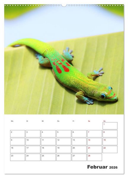 Produktbild: Hawaii - Reiseplaner (Wandkalender 2026 DIN A2 hoch), CALVENDO Monatskalender