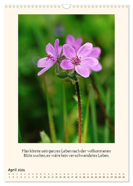 Produktbild: Verborgene Sch&ouml;nheiten am Wegesrand (Wandkalender 2026 DIN A3 hoch), CALVENDO Monatskalender