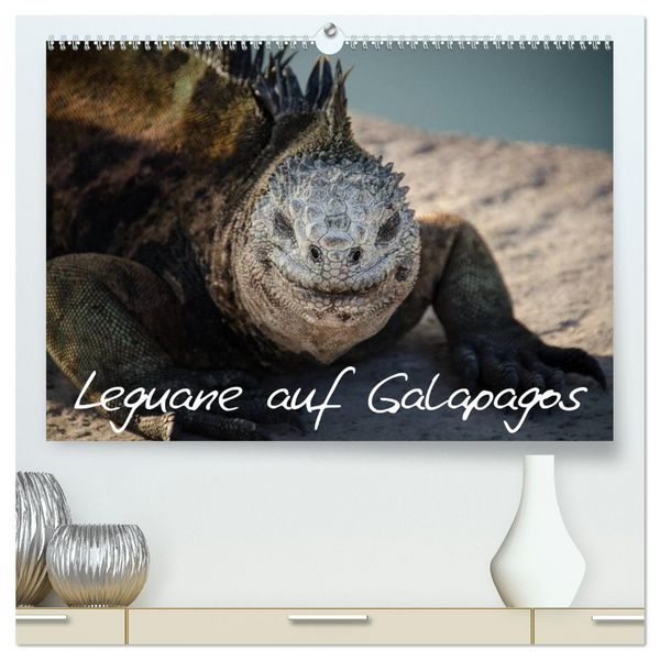Produktbild: Leguane auf Galapagos (hochwertiger Premium Wandkalender 2026 DIN A2 quer), Kunstdruck in Hochglanz