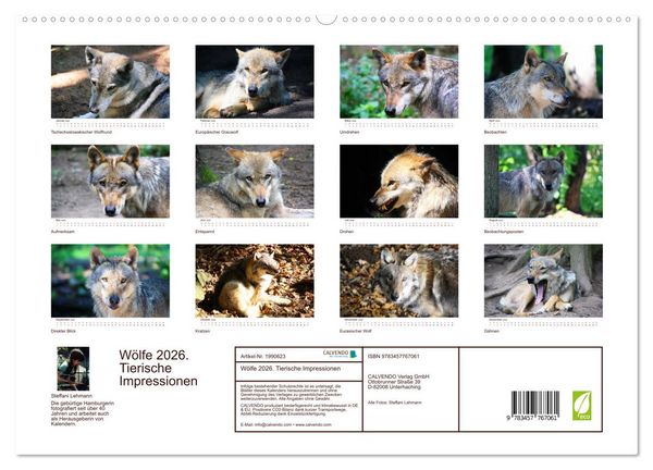 Produktbild: W&ouml;lfe 2026. Tierische Impressionen (hochwertiger Premium Wandkalender 2026 DIN A2 quer), Kunstdruck in Hochglanz